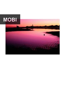 28173MOBI