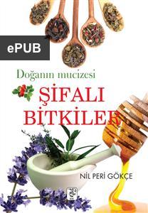 42256EPUB