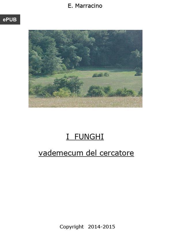 53280EPUB